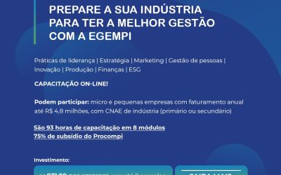 Findes e Sebrae promovem trilha de capacitação em gestão para micro e pequenas indústrias